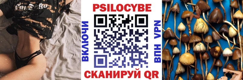 Псилоцибиновые грибы прущие грибы  Сальск 