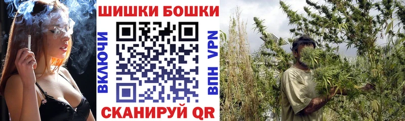 Шишки марихуана план сайты даркнета наркотические препараты Сальск